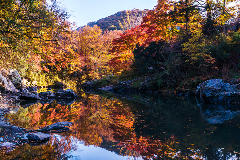 秋に必ず訪れたい 埼玉のおすすめ観光スポット 紅葉地域7選 格安航空券モールコラム