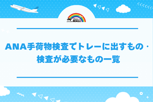 ANA手荷物検査でトレーに出すもの・検査が必要なもの一覧