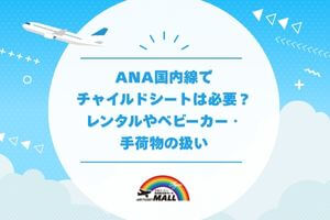 ANA国内線でチャイルドシートは必要？レンタルやベビーカー・手荷物の扱い