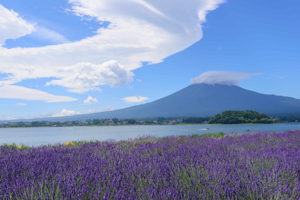 河口湖と富士山とラベンダー