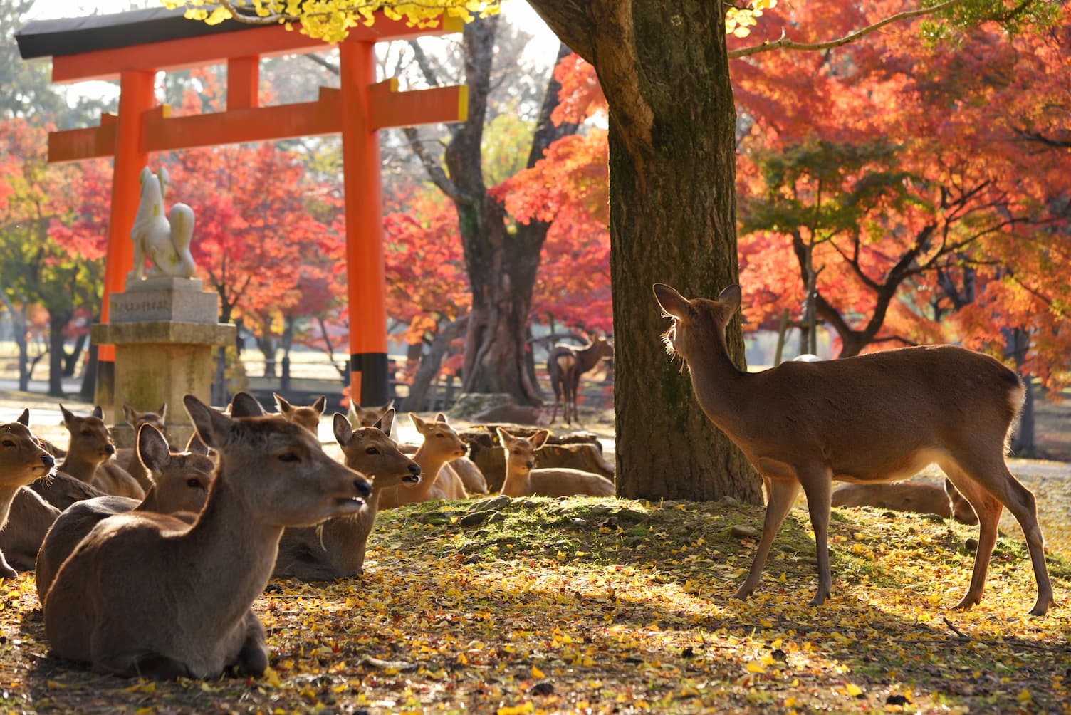 子宮頸がん 病院