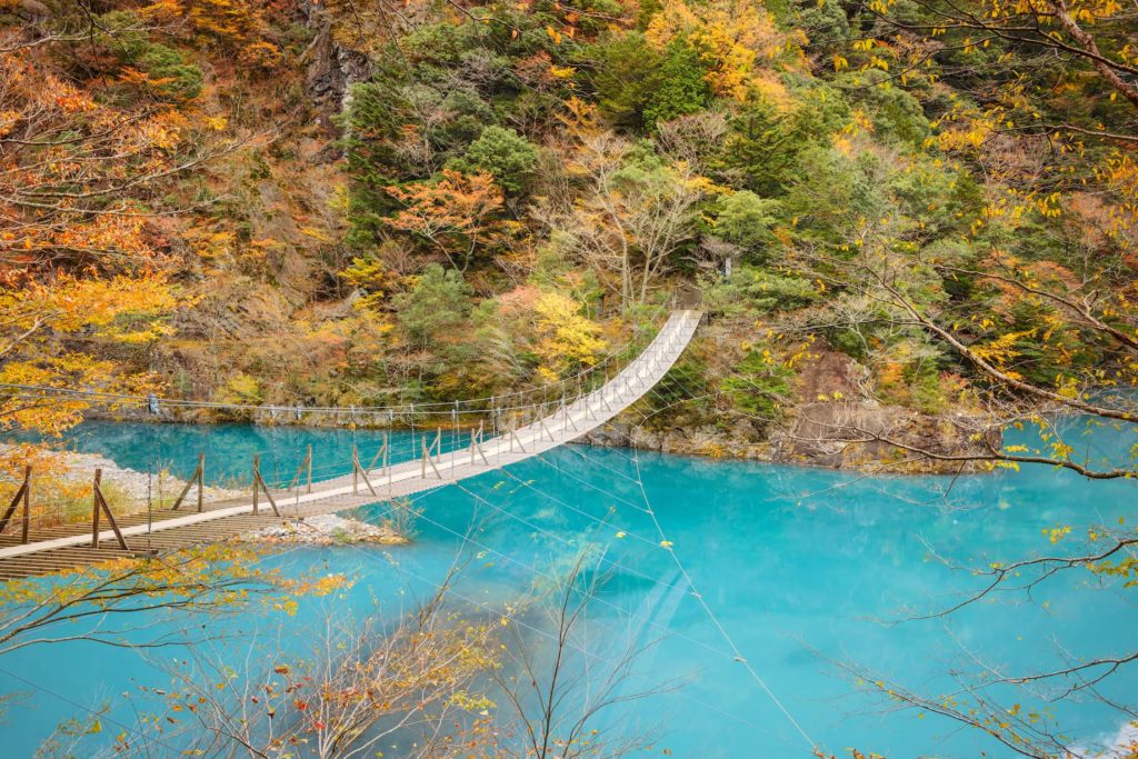 秋深まる静岡県へ旅行しよう！おすすめの観光スポット6選 格安航空券モールコラム