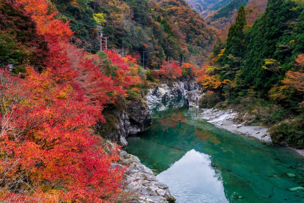 阿波踊りだけじゃない 徳島県の秋でおすすめの観光スポット7選 格安航空券モールコラム