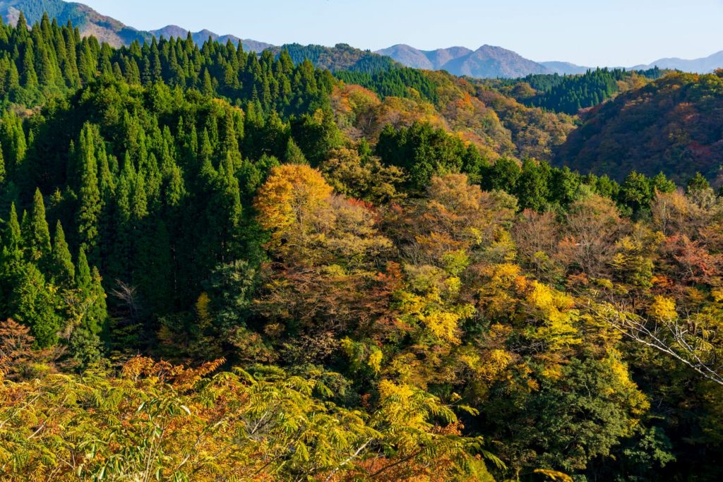 秋の熊本旅行で定番から穴場までのおすすめ観光スポット10選 格安航空券モールコラム