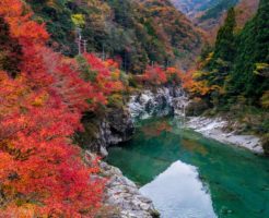 大歩危・小歩危_徳島