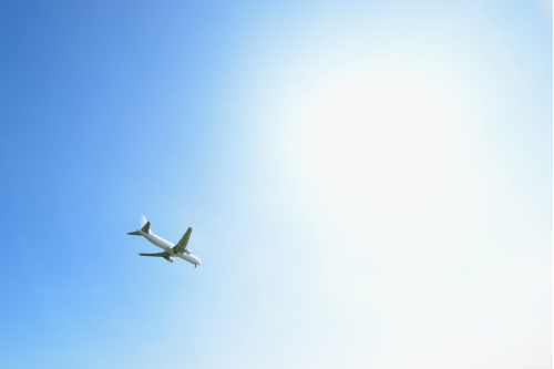 Skymark_Reason for cheap