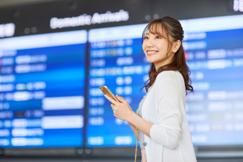 Skymark_Reason for cheapsummary