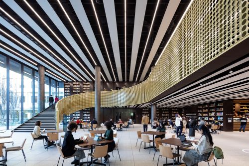 taishoudagaku_konngo