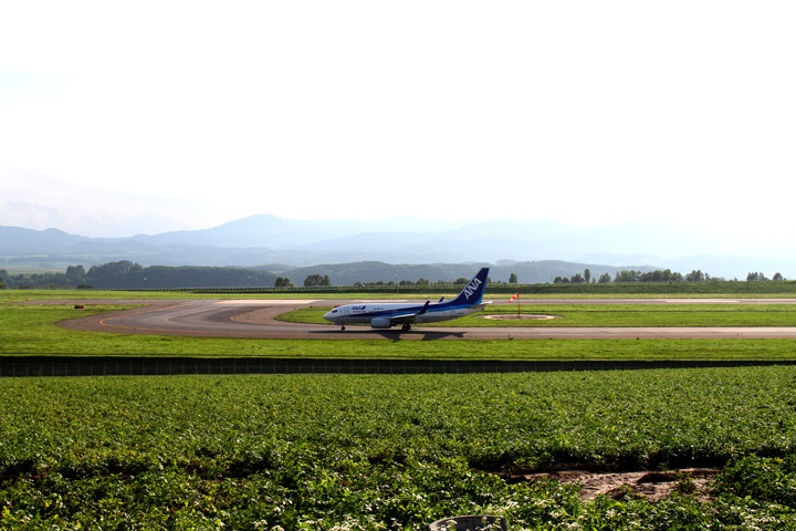 旭川空港発着の国内格安航空券 飛行機予約はスカイ シー格安航空券モール