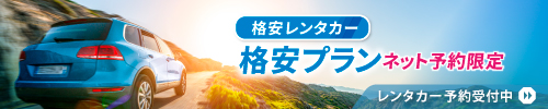 格安レンタカー 格安プラン ネット予約限定