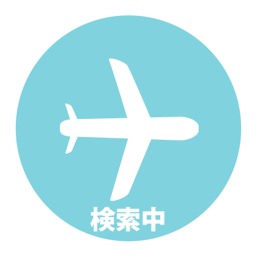 エアドゥ Air Do の国内線格安チケット予約 空席照会 格安航空券モール